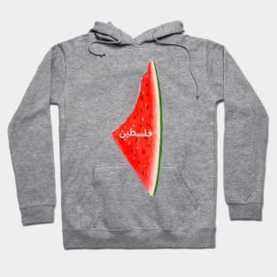 Palestine Save Gaza Hoodie